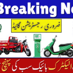 PAVE Subsidy Explained